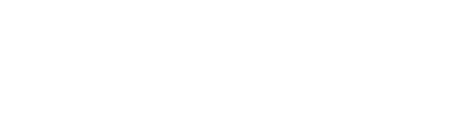 Finnsea logo
